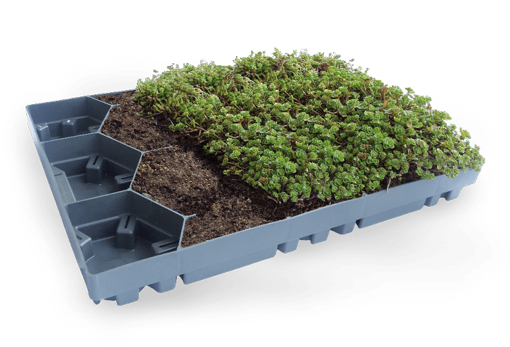 Freigestelltes Bild eines halb gefüllten ECOgreen PACK Moduls