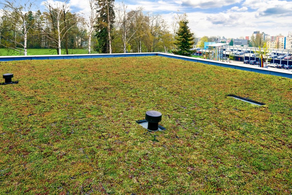 Begrüntes Dach mit Industriegebiet im Hintergrund